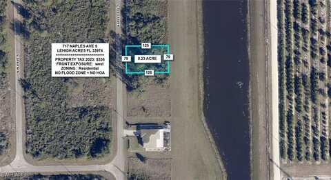 717 Naples Avenue S, Lehigh Acres, FL 33974