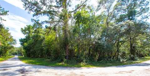 8009 Packingham Street, Webster, FL 33597