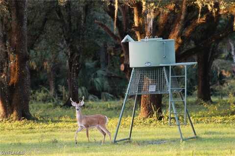 Roberts Ranch Road, Clewiston, FL 33440