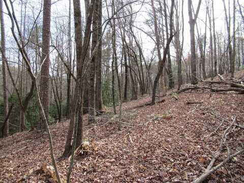 0 Long Branch Road, Dahlonega, GA 30533