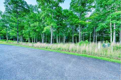 Lt 14 Arbor Creek Trail, Mineral Bluff, GA 30559