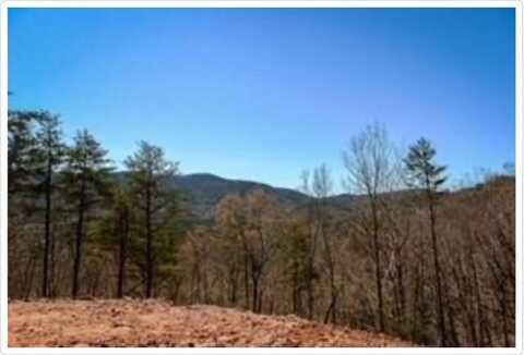 0 Clearview Mountain, Blue Ridge, GA 30513