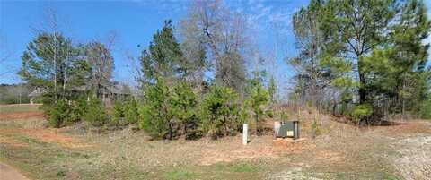 334 Edgewater Trail, Toccoa, GA 30577