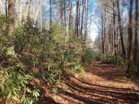 000 Fortenberry Road, Blairsville, GA 30512
