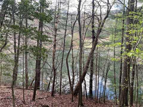 45 Hidden Lake Drive, Cherry Log, GA 30522