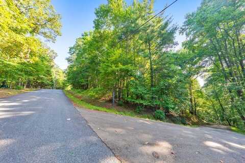 0 Lookiba Lane, Ellijay, GA 30540