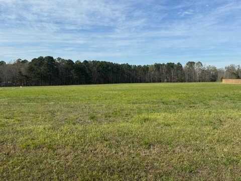 Lot 18 County Rd 580, Centre, AL 35960