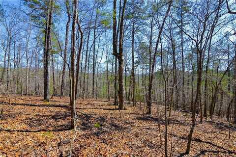 Lot 99 Mountain Creek Hollow Drive, Talking Rock, GA 30175