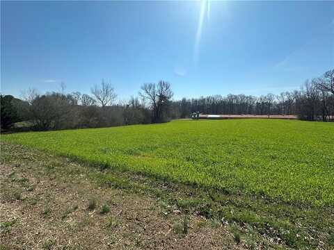 0 Wallace Wood Road, Gainesville, GA 30506