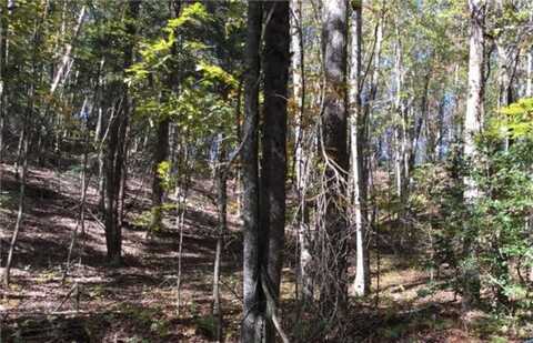 0 Walhalla LOT 387 Court, Ellijay, GA 30540