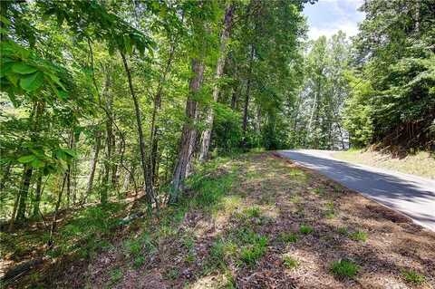 00 Newport Drive, Ellijay, GA 30540