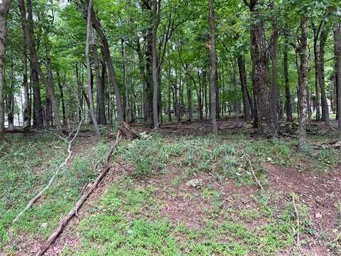 1918 Big Stump Mountain Trail, Jasper, GA 30143