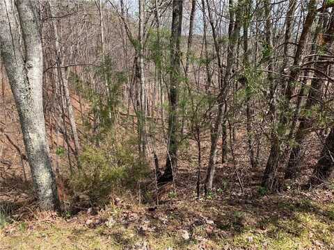 0 Calhoun Road, Dahlonega, GA 30533