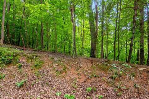 J350 Walnut Mountain, Ellijay, GA 30540