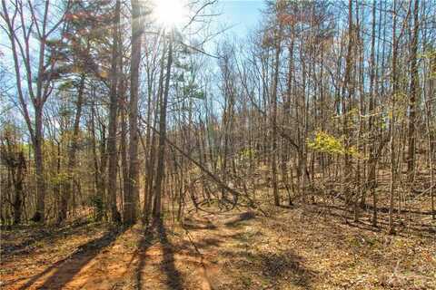 600 Chapman Ridge Lane, Dahlonega, GA 30533