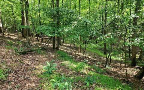 0 Oneida Circle, Ellijay, GA 30540