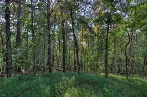 1038 Astro Court, Ranger, GA 30734