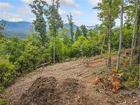 00 Tom Wheeler Road, Hiawassee, GA 30546