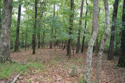 0 Bumpy Trail, Dawsonville, GA 30534