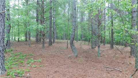 5.59 Acres Larmon Forks Road, Dahlonega, GA 30533