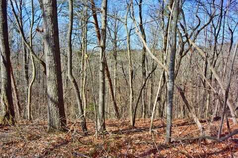 Lot 40 Timberwalk Drive, Ellijay, GA 30540