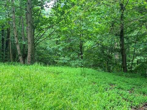 Lot 59 Timberwalk Drive, Ellijay, GA 30540