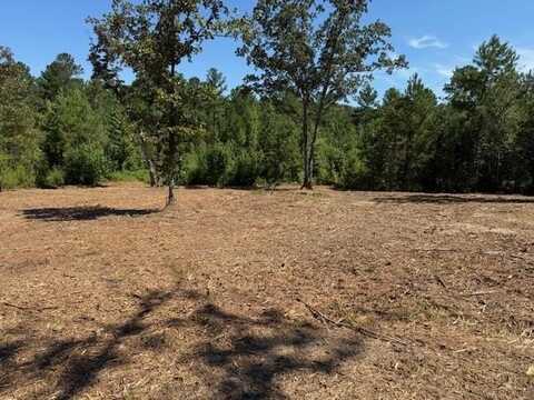 00 Satcher Road, Taylorsville, GA 30178