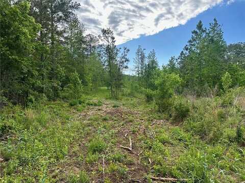 00 Satcher Road, Taylorsville, GA 30178