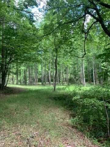 0 Craigtown Road, Ellijay, GA 30540