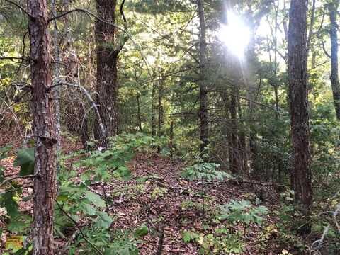 0 Weatherby Trail, Jasper, GA 30143