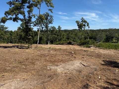00000 Satcher Road, Taylorsville, GA 30178
