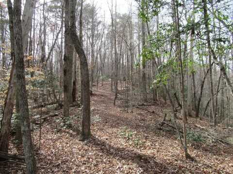 00 Long Branch Road, Dahlonega, GA 30533