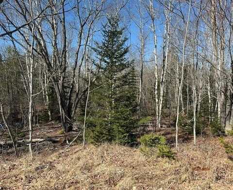 MAP 3 LOT 3 TOM LEIGHTON POINT RD, MILBRIDGE, ME 04658