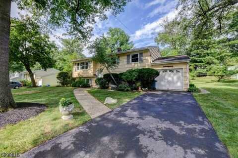 41 Shady Ln, Bridgewater, NJ 08805