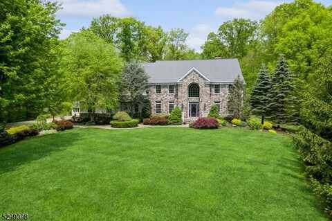 50 Canoe Brook Ln, Bernardsville, NJ 07931