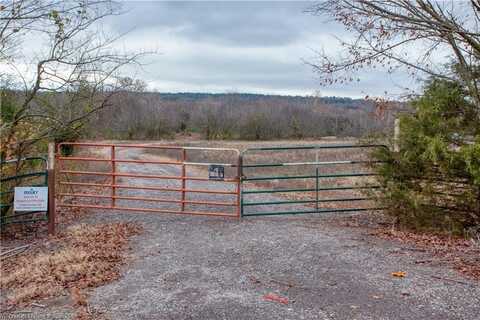 TBD N 71 HWY, Mansfield, AR 72944