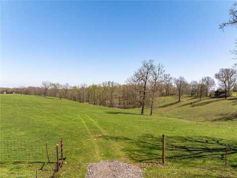 TBD Carney Lane RD, Rudy, AR 72952