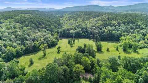01 Yeaman LN, Mt Ida, AR 71957