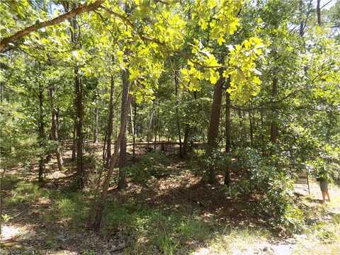 4 Zaragoza WY, Hot Springs Village, AR 71909