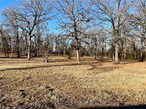 Lot 1 N 4780 RD, Roland, OK 74954