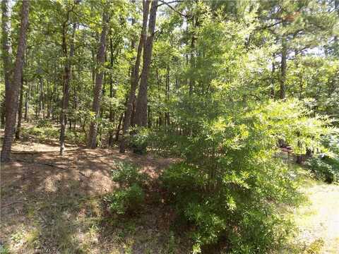 2 Zaragoza WY, Hot Springs Village, AR 71909