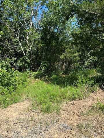 Tract C TBD N4550 RD, Whitesboro, OK 74577