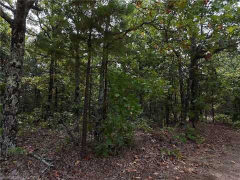 TBD Rural Haskell Co., Mccurtain, OK 74944