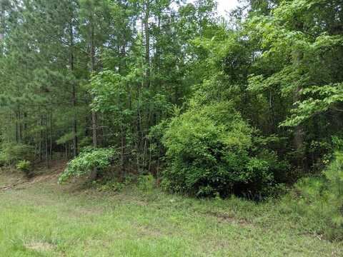 Lot 1 Indian Road, Lincolnton, GA 30817