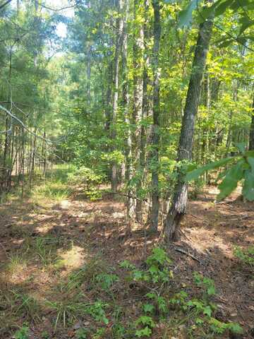 0 BUMPUS Road, Appling, GA 30802