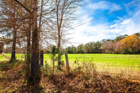 Lot 2 MISTLETOE RD, Appling, GA 30802