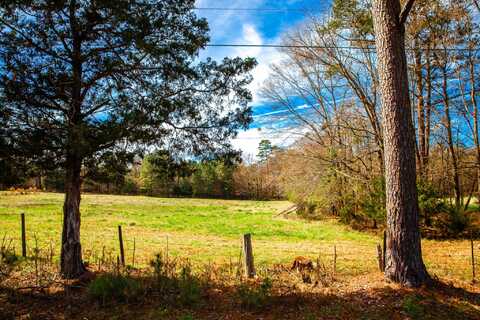 Lot 4 MISTLETOE RD, Appling, GA 30802