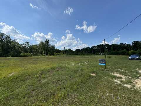 Lot 51 BROWER LANE, Sardis, GA 30456