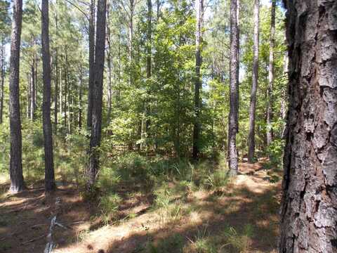 2 LIGHTHOUSE PT, Lincolnton, GA 30817