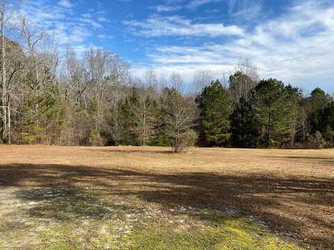 6384 COBBHAM Road, Appling, GA 30802